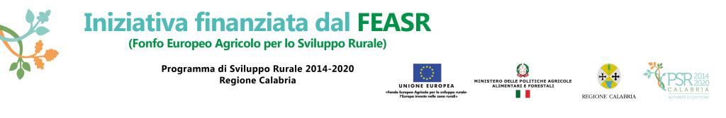 banner feasr 01